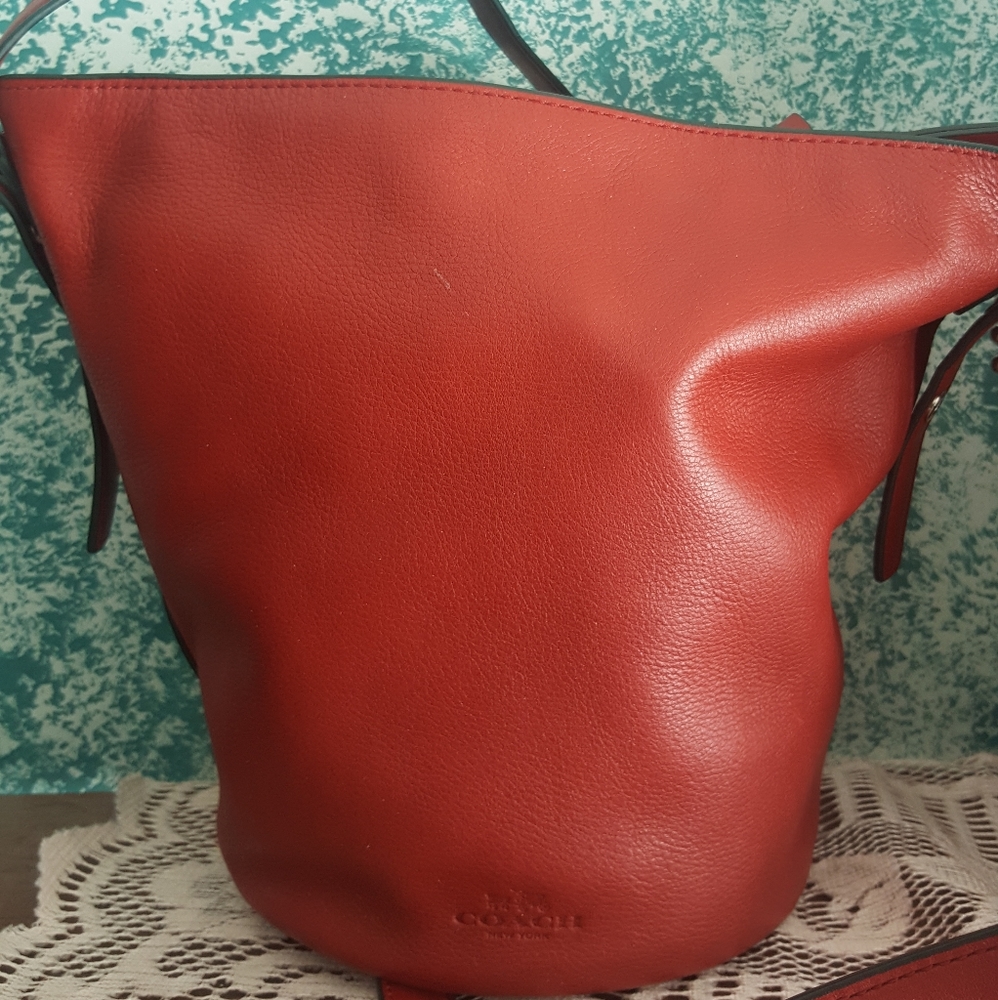 Coach Shoulder bag mini